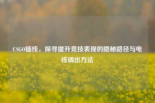 CSGO插线，探寻提升竞技表现的隐秘路径与电线调出方法