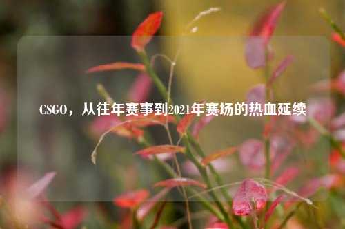 CSGO，从往年赛事到2021年赛场的热血延续