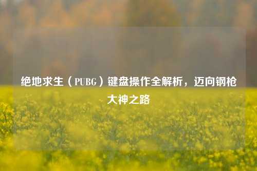 绝地求生（PUBG）键盘操作全解析，迈向钢枪大神之路