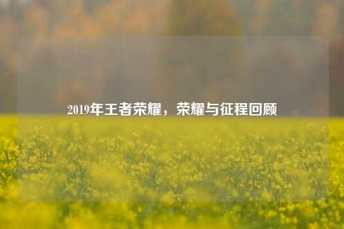 2019年王者荣耀，荣耀与征程回顾