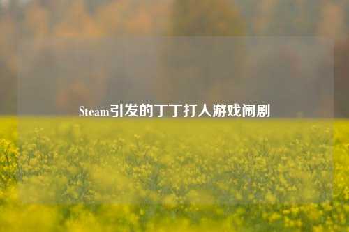 Steam引发的丁丁打人游戏闹剧