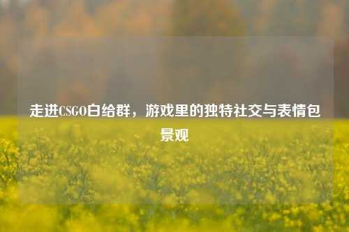 走进CSGO白给群，游戏里的独特社交与表情包景观