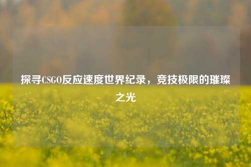 探寻CSGO反应速度世界纪录，竞技极限的璀璨之光