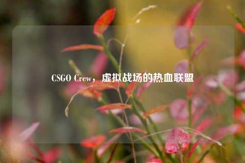 CSGO Crew，虚拟战场的热血联盟