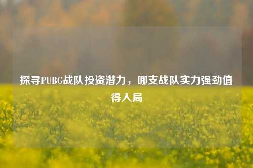 探寻PUBG战队投资潜力，哪支战队实力强劲值得入局