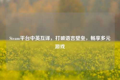 Steam平台中英互译，打破语言壁垒，畅享多元游戏