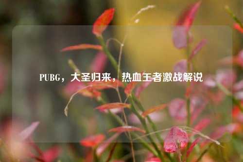 PUBG，大圣归来，热血王者激战解说