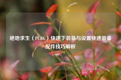 绝地求生（PUBG）快速下装备与设置快速装备配件技巧解析
