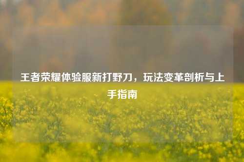 王者荣耀体验服新打野刀，玩法变革剖析与上手指南