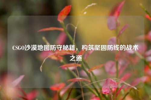 CSGO沙漠地图防守秘籍，构筑坚固防线的战术之道