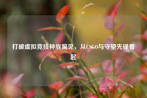 打破虚拟竞技种族偏见，从CSGO与守望先锋看起