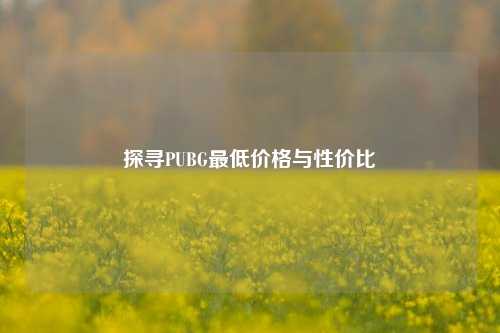 探寻PUBG最低价格与性价比