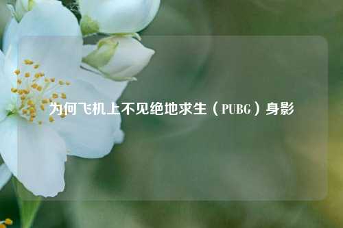 为何飞机上不见绝地求生（PUBG）身影
