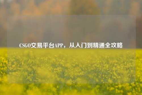 CSGO交易平台APP，从入门到精通全攻略
