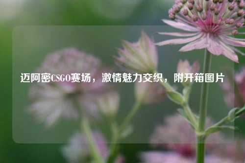 迈阿密CSGO赛场，激情魅力交织，附开箱图片