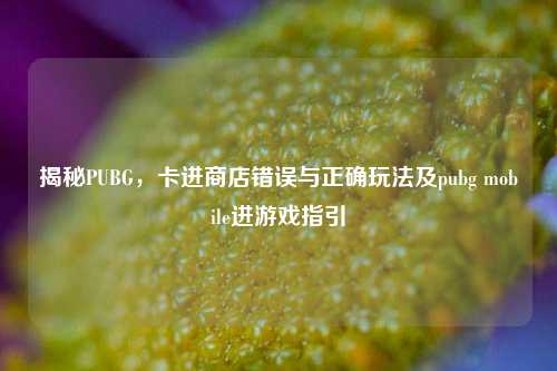 揭秘PUBG，卡进商店错误与正确玩法及pubg mobile进游戏指引