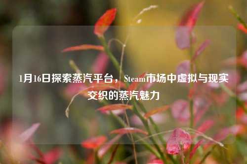 1月16日探索蒸汽平台，Steam市场中虚拟与现实交织的蒸汽魅力