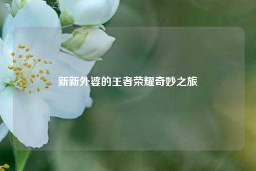 新新外婆的王者荣耀奇妙之旅