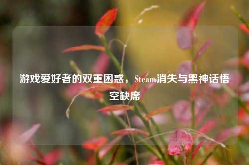 游戏爱好者的双重困惑，Steam消失与黑神话悟空缺席