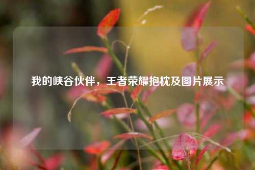 我的峡谷伙伴，王者荣耀抱枕及图片展示