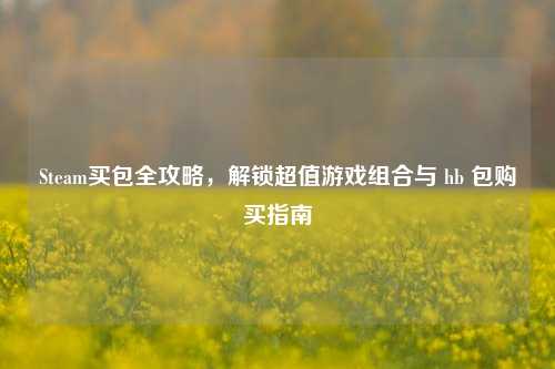 Steam买包全攻略，解锁超值游戏组合与 hb 包购买指南