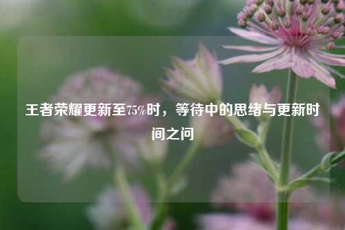 王者荣耀更新至75%时，等待中的思绪与更新时间之问