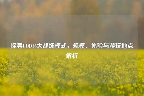 探寻COD16大战场模式，规模、体验与游玩地点解析