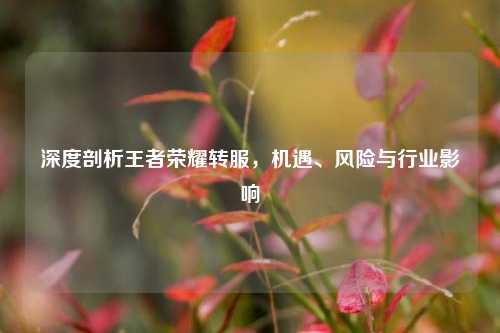 深度剖析王者荣耀转服，机遇、风险与行业影响