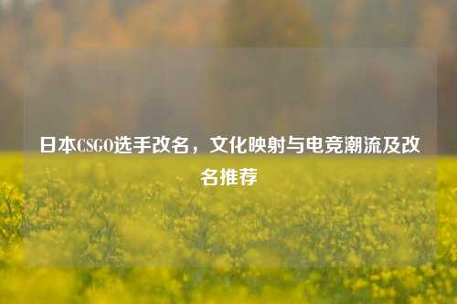 日本CSGO选手改名，文化映射与电竞潮流及改名推荐