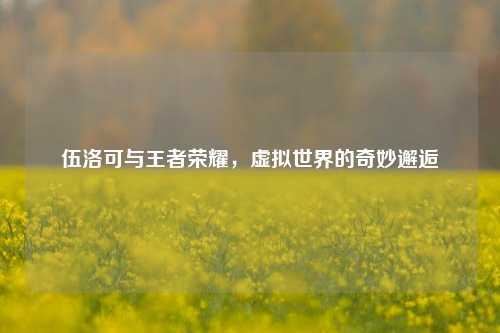 伍洛可与王者荣耀，虚拟世界的奇妙邂逅