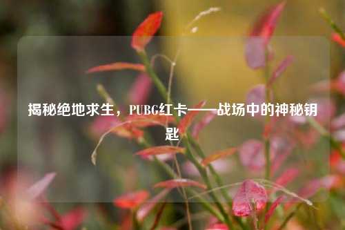 揭秘绝地求生，PUBG红卡——战场中的神秘钥匙
