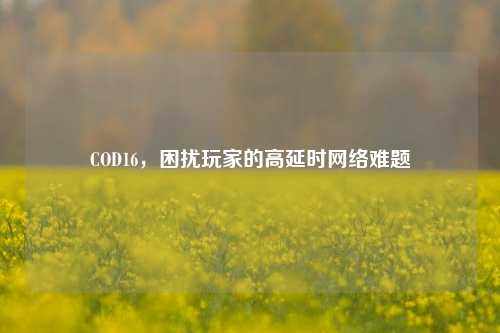 COD16，困扰玩家的高延时网络难题