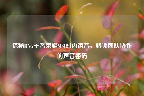 探秘RNG王者荣耀MSI对内语音，解锁团队协作的声音密码