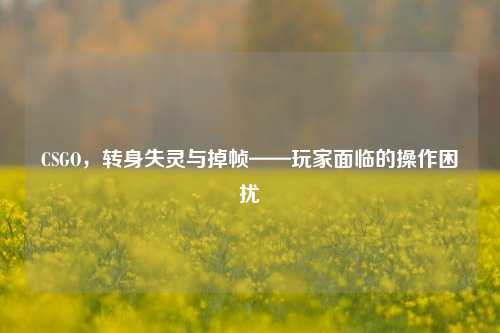 CSGO，转身失灵与掉帧——玩家面临的操作困扰