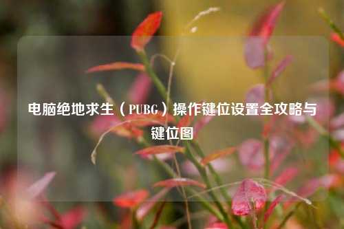 电脑绝地求生（PUBG）操作键位设置全攻略与键位图