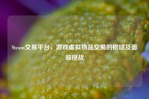 Steam交易平台，游戏虚拟物品交易的枢纽及面临挑战