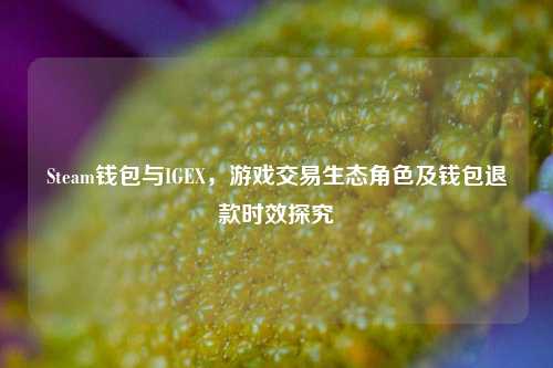 Steam钱包与IGEX，游戏交易生态角色及钱包退款时效探究