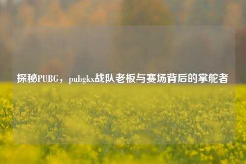 探秘PUBG，pubgkx战队老板与赛场背后的掌舵者