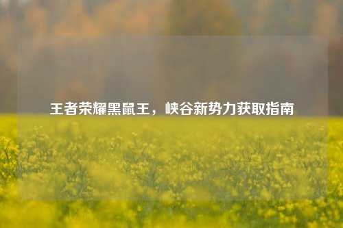 王者荣耀黑鼠王，峡谷新势力获取指南