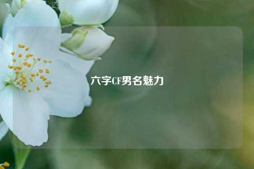 六字CF男名魅力