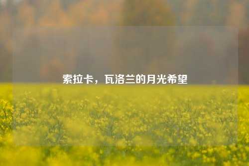 索拉卡，瓦洛兰的月光希望