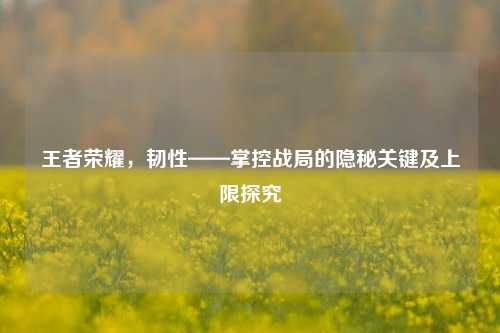王者荣耀，韧性——掌控战局的隐秘关键及上限探究
