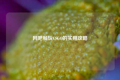网吧畅玩CSGO的实用攻略