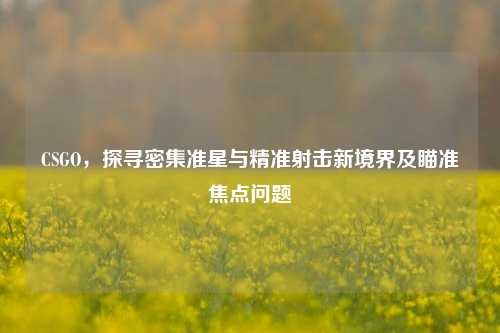 CSGO，探寻密集准星与精准射击新境界及瞄准焦点问题