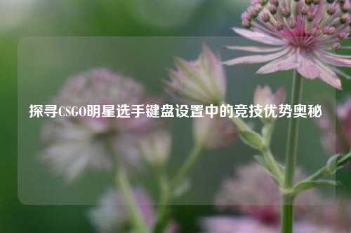 探寻CSGO明星选手键盘设置中的竞技优势奥秘