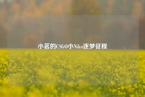 小茗的CSGO小Niko逐梦征程