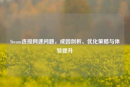 Steam连接网速问题，成因剖析、优化策略与体验提升