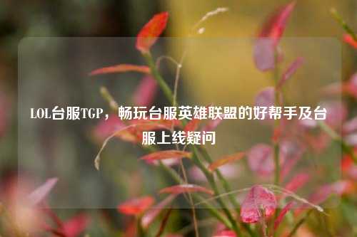LOL台服TGP，畅玩台服英雄联盟的好帮手及台服上线疑问