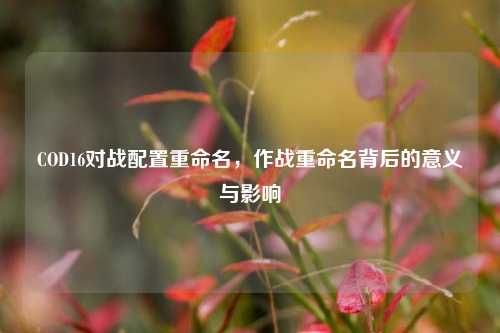COD16对战配置重命名，作战重命名背后的意义与影响