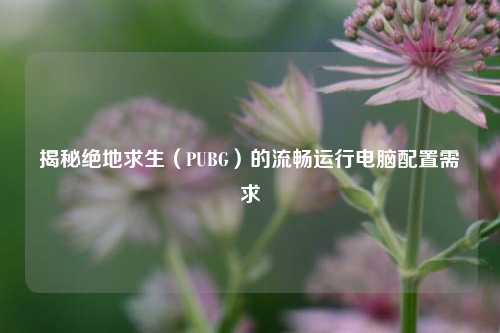 揭秘绝地求生（PUBG）的流畅运行电脑配置需求